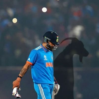 Rohan28774's profile picture. 