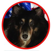 Anita (@anitarboyd) 's Twitter Profile