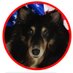 Anita (@anitarboyd) Twitter profile photo Anita (@anitarboyd) Twitter profile photo