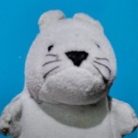 ネッピー・チーズ(本人) (@sxexnxaxs) 's Twitter Profile