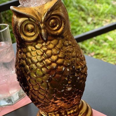 ZeddZedd83's profile picture. 