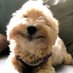 DeeDeeNTeddy2 (@deedeenteddytoo) Twitter profile photo DeeDeeNTeddy2 (@deedeenteddytoo) Twitter profile photo