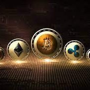AltcoinMaven