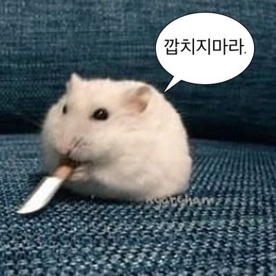 pdi1105's profile picture. 곧 031거주예정  .175 80
남자임 십발