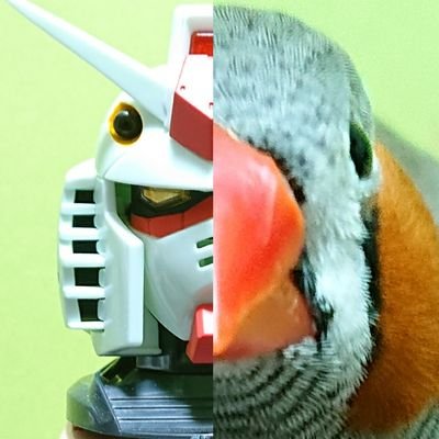 小鳥や小動物全般・ガンダム・アニメ・漫画・ゲーム・釣り・工作のマイぺぇス闇鍋 🐥キンカチョウのぺーた🐥 #パピプぺぇシリーズ