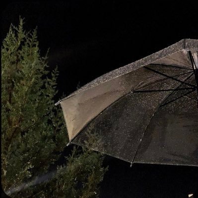 911jumanh's profile picture. امتداد لأجنحة الخيال، وموطنٌ للسّلام