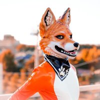 Lumi🦊 (@lumi_latex) 's Twitter Profile