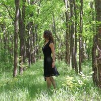 Pothoot (@pothoot65335) 's Twitter Profile