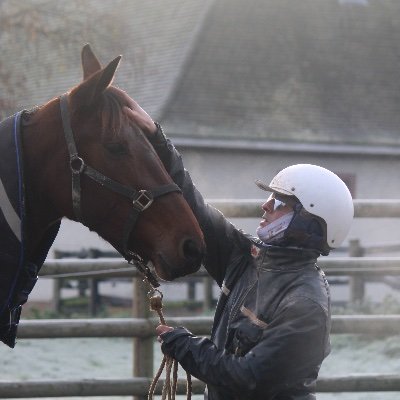 Entraîneur et driver basé à Grosbois. 🐴 Découvrez les coulisses de mon entraînement et suivez les aventures de l'écurie sur les hippodromes ⚔️