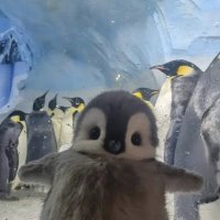 GlassPrism (@m3n7a1ly_g0n3) 's Twitter Profile