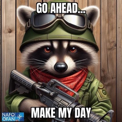 nafo_raccoon Profile Picture