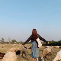 Smotet (@smotet139006) Twitter profile photo