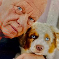 frits wester (@fritswester) 's Twitter Profile
