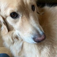 JUN☆やり直し (@lemon0564) 's Twitter Profile