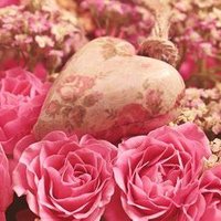 ささみ (@snosasam_i) 's Twitter Profile Photo