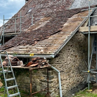 AcAshley280's profile picture. Since 2019 I always follow the silenced….proper science died in 2020. We are now constantly propagandised with junk data and fake science.Proud RW gay guy 😊