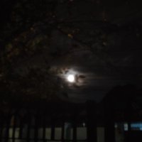 grasyeah15 (@sideviewgrace) 's Twitter Profile