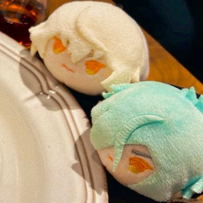 ちゃ@tyatyatya_hのもち垢。己のもちちゃんを載せたりいろんな方のもちちゃんを吸いまくります|無言フォロー失礼します🙇♀️