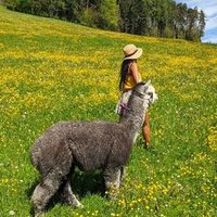 Reautolee (@reautolee49319) 's Twitter Profile
