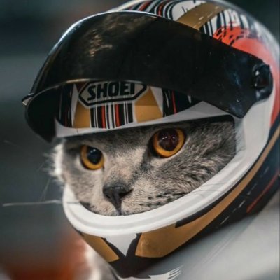 Vayne 💎 Me encanta la F1 ~ Inversor 🤑 CBR500R 🏍️ Artificial Intelligence Engineer 🤖