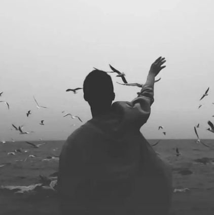 mr_pragmatic's profile picture. Thinker