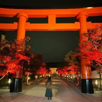 , (@pw_live_ir) 's Twitter Profile