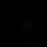 Nardo (@nano24299) 's Twitter Profile