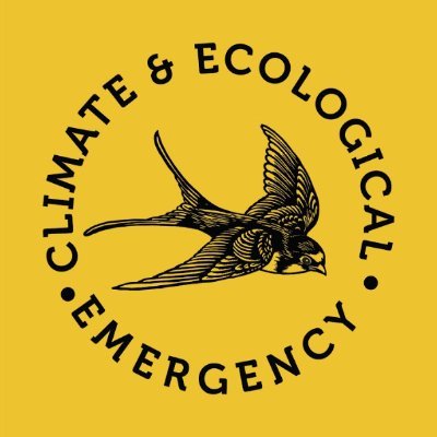 A collaborative community from the cultural sector, striving for truth-telling, care-taking, change-making and justice in our communities 🌏 #CultureTakesAction