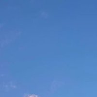 hfhyuikjhjkoug (@liberated4ever) 's Twitter Profile