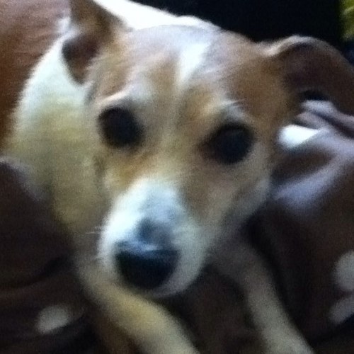 gramma_1947's profile picture. 