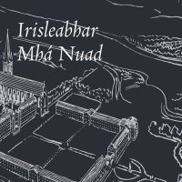 Irisleabhar Mhá Nuad(@IrisleabharMN) 's Twitter Profile Photo