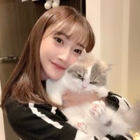 とりまる (@torimaruneko) 's Twitter Profile