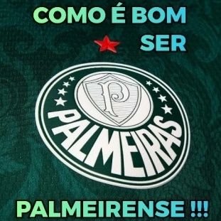 Palmeirense de Sampa, campeão brasileiro de 2023.

#palmeirasminhavidaévocê