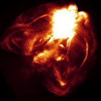 Ron Refaeli, Ph.D. (@refaeliron) 's Twitter Profile Photo Ron Refaeli, Ph.D. (@refaeliron) 's Twitter Profile Photo