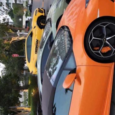 Scarlet90705762's profile picture. l