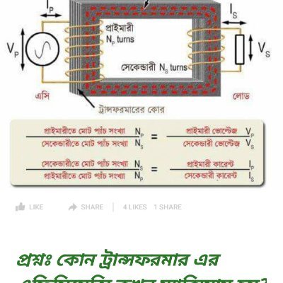 eloisebeta18223's profile picture. Freelancer