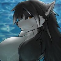 Silverfang_kira (@silverfang_kira) 's Twitter Profile