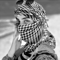 Noor Saad 🦅❔ (@noorsaa17430086) 's Twitter Profile Photo