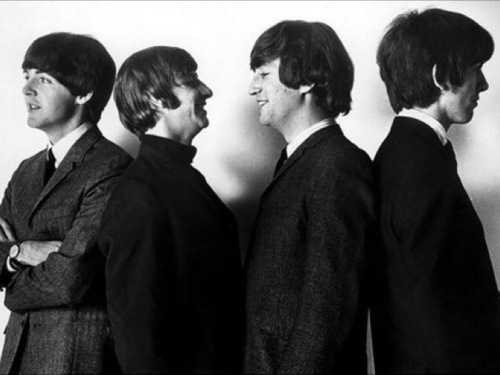 TerraTusing's profile picture. Woman