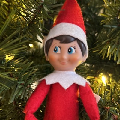 the drelf on the shelf! 🎄 christmas elf of dttwt! :) follow along to see what dtk stan shenanigans brady is up to! run by @gh0st1ng4k4rl ♥️