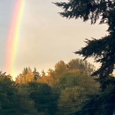 Kathrin521379's profile picture. 