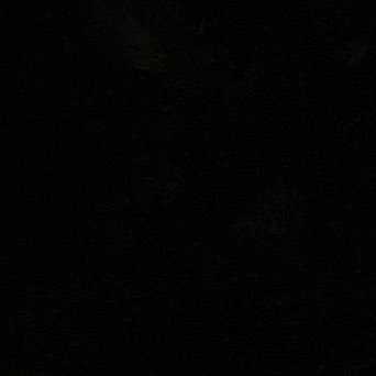 5basx's profile picture. Nothinng