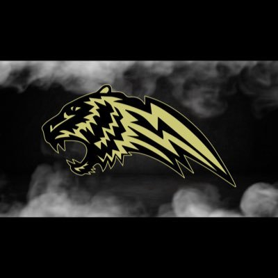 GoldenTigersBKB Profile Picture