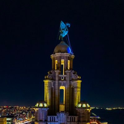 NinaMc789's profile picture. 