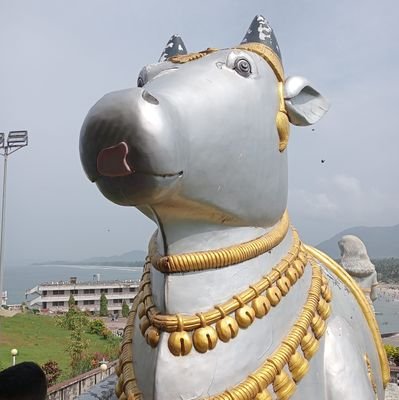 VijayS30822593's profile picture. 