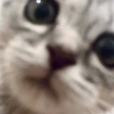.さんのプロフィール画像