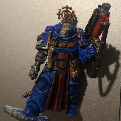 I am a miniature painter. I paint mostly Warhammer 40k. I have a fiverr account where i do comission painting. Go visit it if you want : https://t.co/UiRijPxZ1u