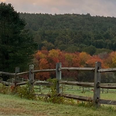 FerranteTanya's profile picture. 