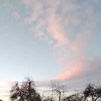 Corentin Lotz (@corentinlotz88) 's Twitter Profile