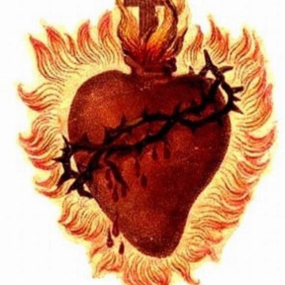 materalchimia's profile picture. solve et coagula